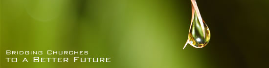 Contact the Hill Consulting Group