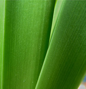 Leadership consulting services